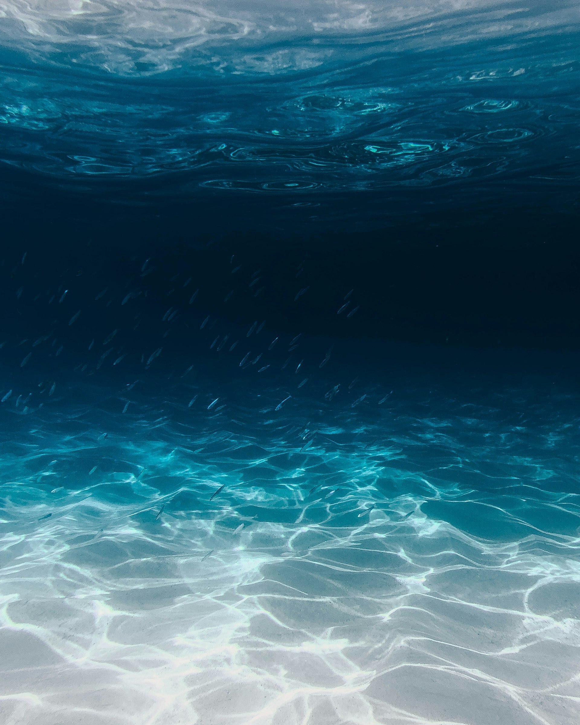 Marine Ocean